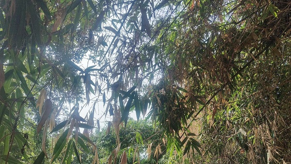 bihar me kaisa rahega ka aaj ka mausam know weather news update today in hindi