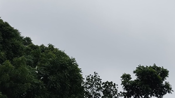 Chances of heavy rain in Rohtas and Bhabua aaj ka mausam samachar Bihar Weather News