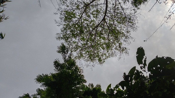 jhamajham barish ki sambhavna Thunderstorm warning with heavy rain in 14 districts weather news