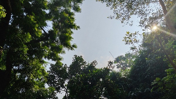 Bihar Weather News Bihar Weather News