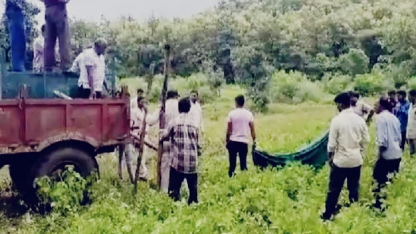 Injured leopard dies in Khandwa negligence of forest department seen in video Injured leopard dies in Khandwa negligence of forest department seen in video