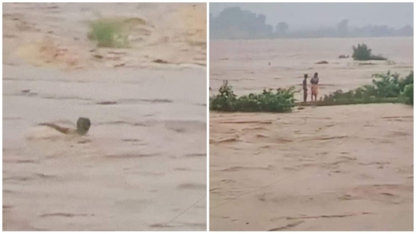Heavy rains continue in MP Heavy rains in 28 districts flood situation in Bhopal Raisen Vidisha Heavy rains continue in MP Heavy rains in 28 districts flood situation in Bhopal Raisen Vidisha