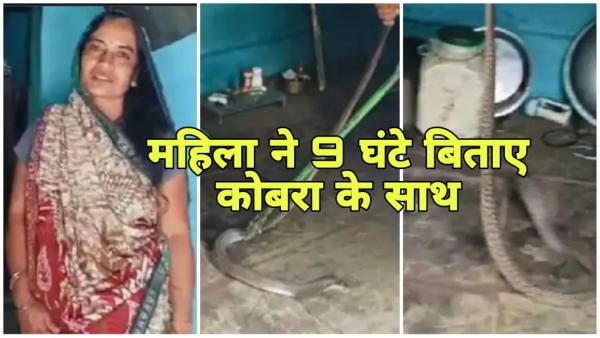 Woman spent 9 hours with cobra snake in Jabalpur a unique incident in Tevar village
