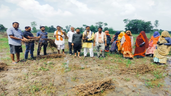 Survey of soybean crop started due to excessive rainfall farmers Collector Kaushalendra Vikram Singh
