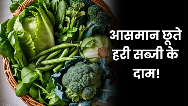 Vegetables Price Rise Vegetables Price Rise