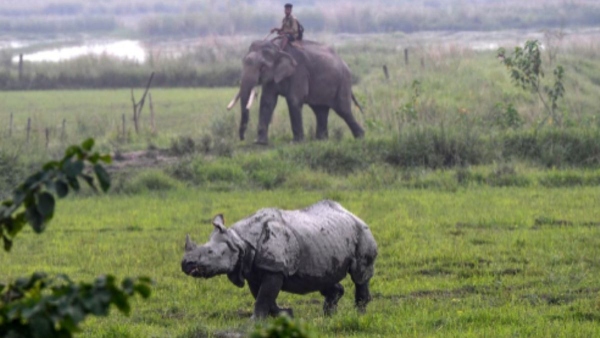 Assam