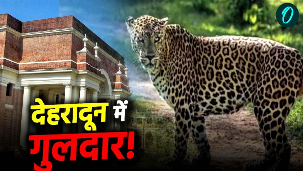 dehradun news Fear Guldar Forest Research Institute first choice tourists closed 5 days know why dehradun news Fear Guldar Forest Research Institute first choice tourists closed 5 days know why