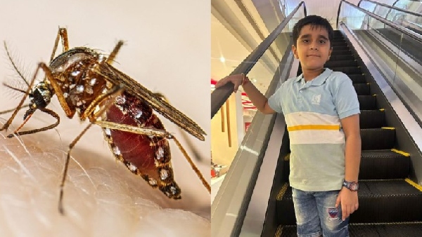 Gwalior dengue outbreak