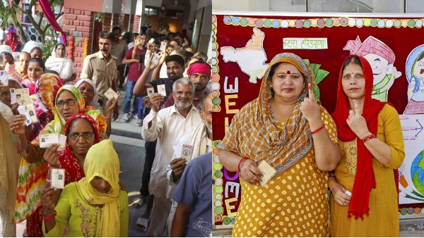 haryana election
