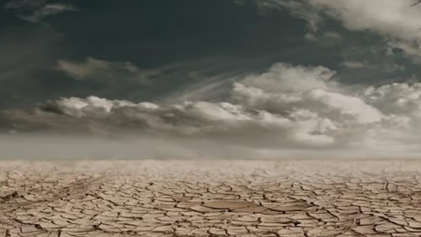 IARI- Climate Trends