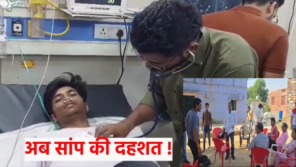 snake-terror-in-karaulis-manchi-village-5-people-of-the-same-family-bitten-what-happened-next snake-terror-in-karaulis-manchi-village-5-people-of-the-same-family-bitten-what-happened-next