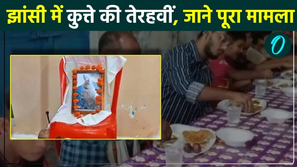 Terahvi was performed of dog in jhansi