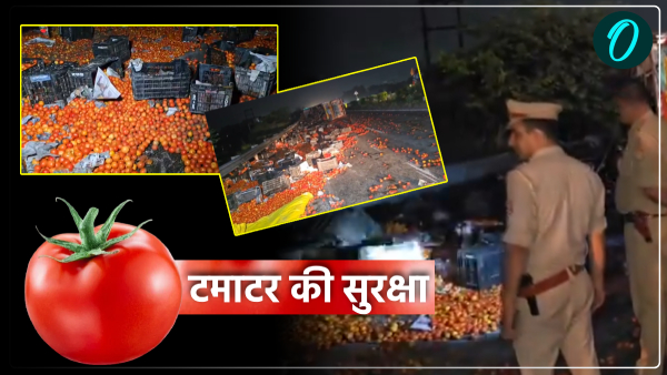 Jhansi police had guard tomatoes