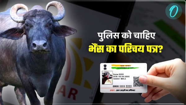 aadhar-card-of-the-buffalo aadhar-card-of-the-buffalo