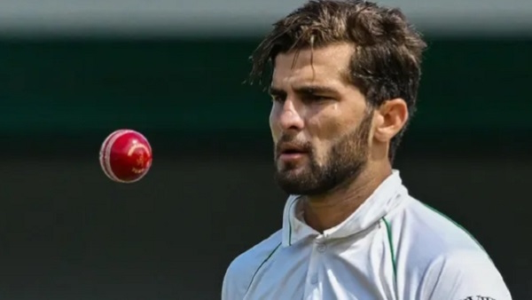 shaheen afridi shaheen afridi