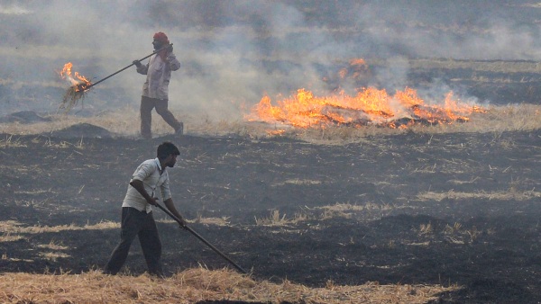 stubble burning
