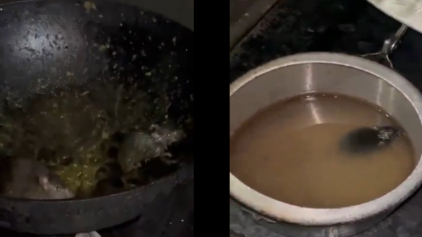 IIT Roorkee campus IIT Roorkee campus