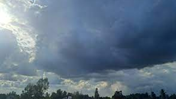Weather Forecast india