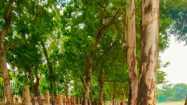 Bihar Weather News Today