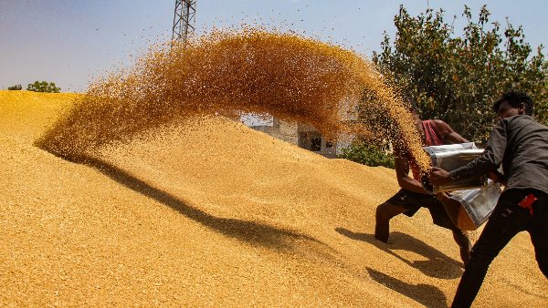 Rabi Crops Rabi Crops