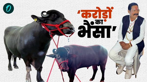 anant singh news anant singh news