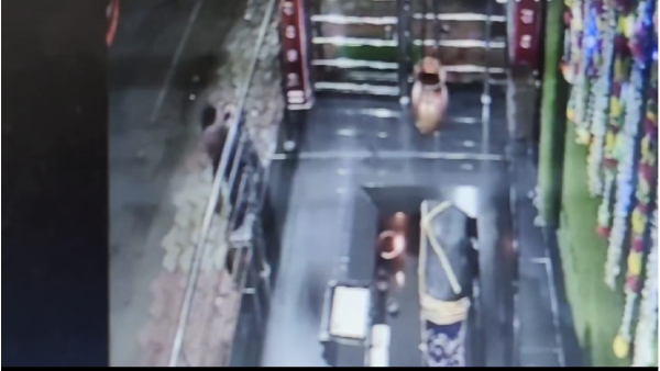 Betul bow before stealing