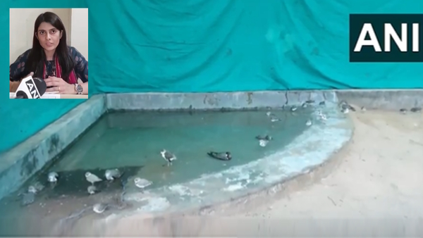 Sambhar Lake Rajasthan