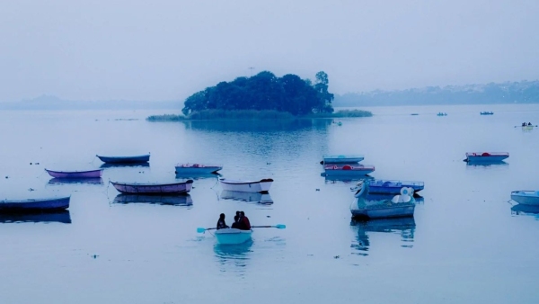 Effect of cold increased in MP fog in Gwalior Rewa-Chambal division there will be shivering cold