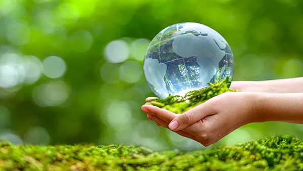 COP 29 India appeals to rich countries