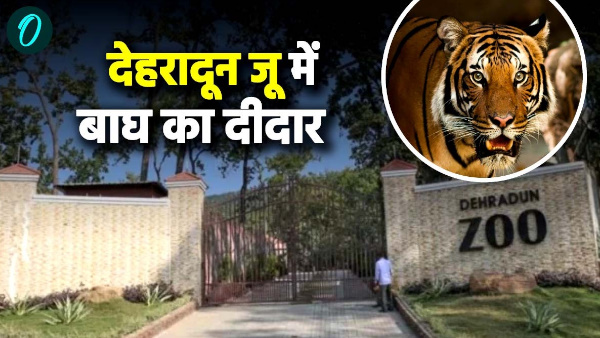 Tiger will seen Dehradun Zoo two tigers have been kept in raft tiger raft launched for tourists