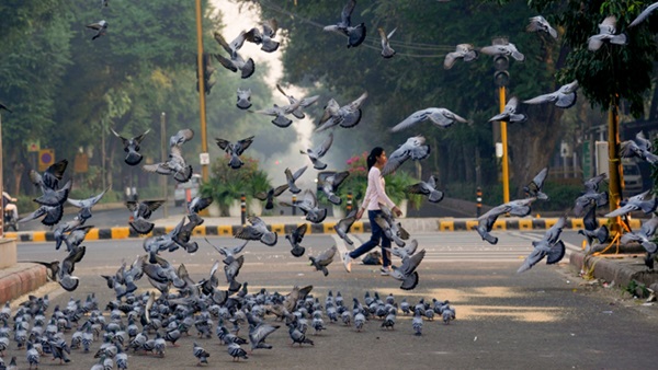 delhi weather