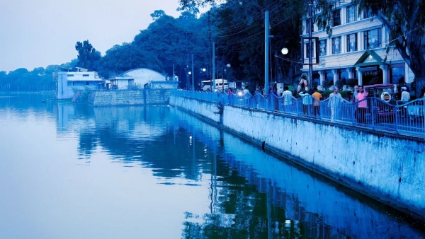 Effect of cold increased in MP fog in Gwalior Rewa-Chambal division there will be shivering cold