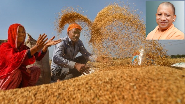 farmer