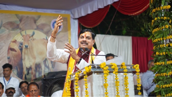 gwalior mohan yadav govardhan puja