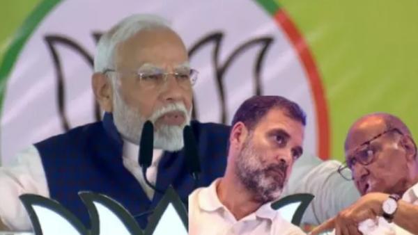 india news india news