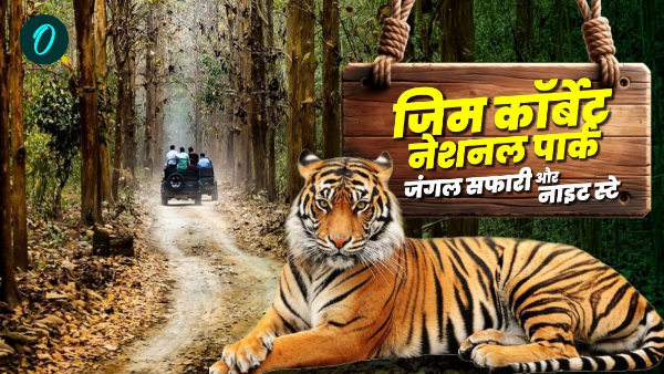 Jim Corbett National Park Get ready jungle safari night stay in Dhikala zone opening how to book