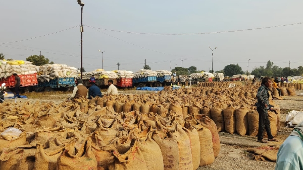 Madhya Pradesh Paddy Procurement Slot Booking