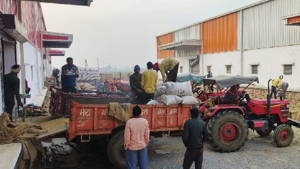 Madhya Pradesh Paddy Procurement Slot Booking