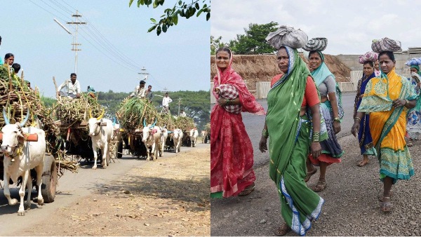 maharashtra elections