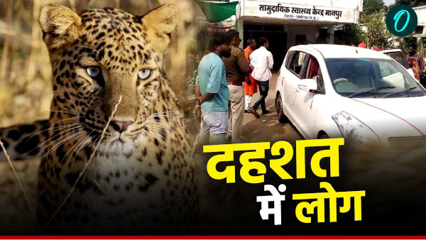 Man-eating leopard attack Umaria Madhya Pradesh