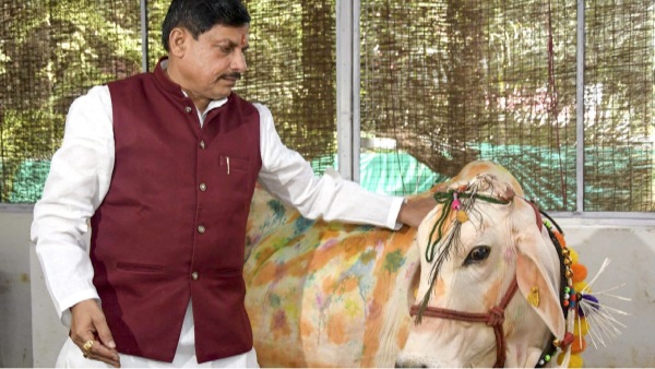 mohan yadav mohan yadav