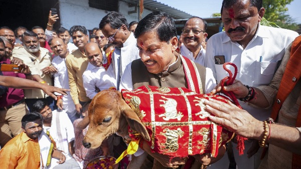 mohan yadav mohan yadav