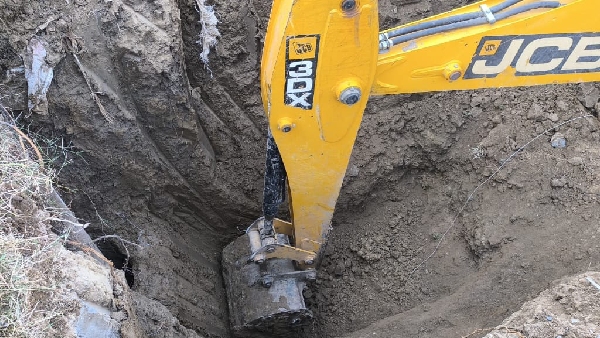 morena news dog fell in deep borewell