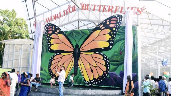 Mukundpur Tiger Reserve