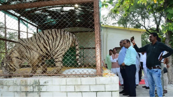 Mukundpur Tiger Reserve