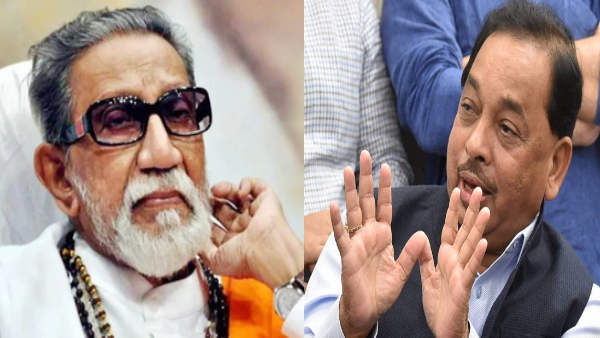 Narayan Rane