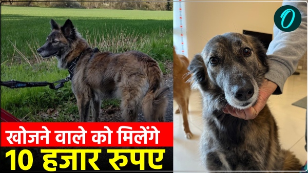 taj-mahal-with-their-precious-dog