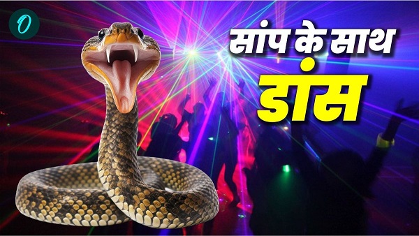Youth Dancer Faces Life-Threatening Snake Bite During Live Show in Saharsa Bihar News