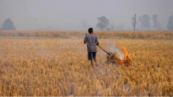 Satellite caught burning stubble Satna News