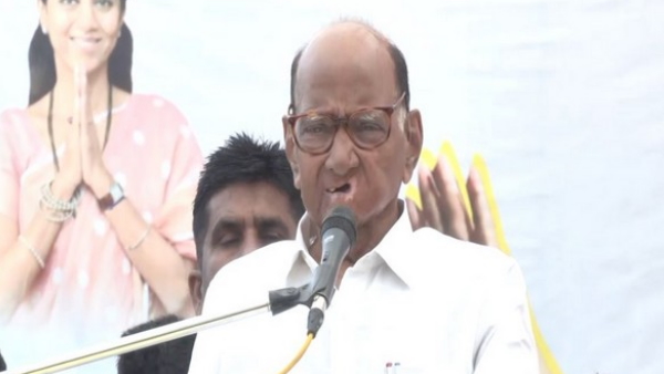 sharad pawar sharad pawar
